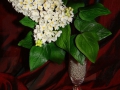 flower_cake-1.jpg