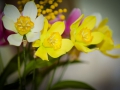flower_cake-14.jpg
