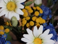 flower_cake-24