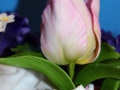 flower_cake-25