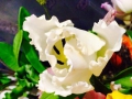 flower_cake-28-2