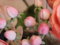 flower_cake-38-1