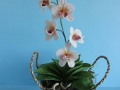 flower_cake-43
