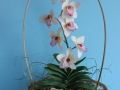 flower_cake-44