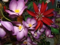 flower_cake-8.jpg