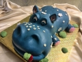 childrens_cakes-112.jpg