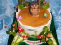 childrens_cakes-127.jpg