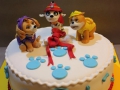 childrens_cakes-136