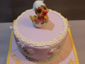 childrens_cakes-140