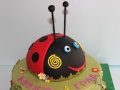 childrens_cakes-194-1