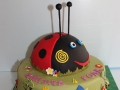 childrens_cakes-194