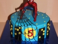 childrens_cakes-204