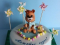 childrens_cakes-207