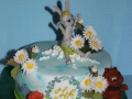 childrens_cakes-209