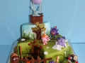childrens_cakes-216