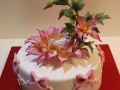 childrens_cakes-30.jpg