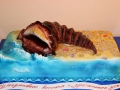 gift_cakes-115