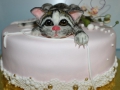 gift_cakes-135