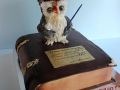 gift_cakes-136
