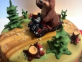 gift_cakes-56.jpg