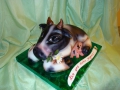 gift_cakes-76.jpg
