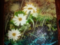 gift_cakes-84.jpg