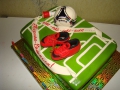 cakes_for_teenagers-13.jpg