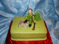 cakes-hobby-21.jpg