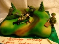 cakes-hobby-26.jpg