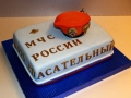 cakes-hobby-3.jpg