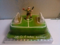 cakes-hobby-33.jpg