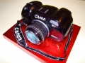 cakes-hobby-34.jpg